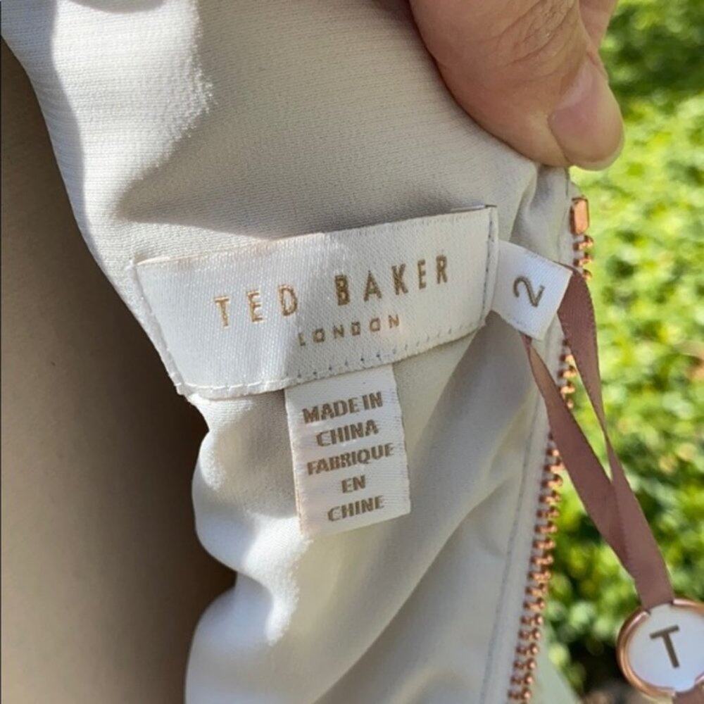 Ted Baker Expressive Pansy Diliani Sleeveless Midi Shift Dress - Picture 4 of 9